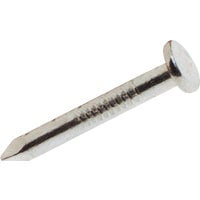 Grip-Rite 1-1/2 in. Joist Hanger Hot-Dipped Galvanized Steel Nail Flat 50 lb. - Case Of: 1;