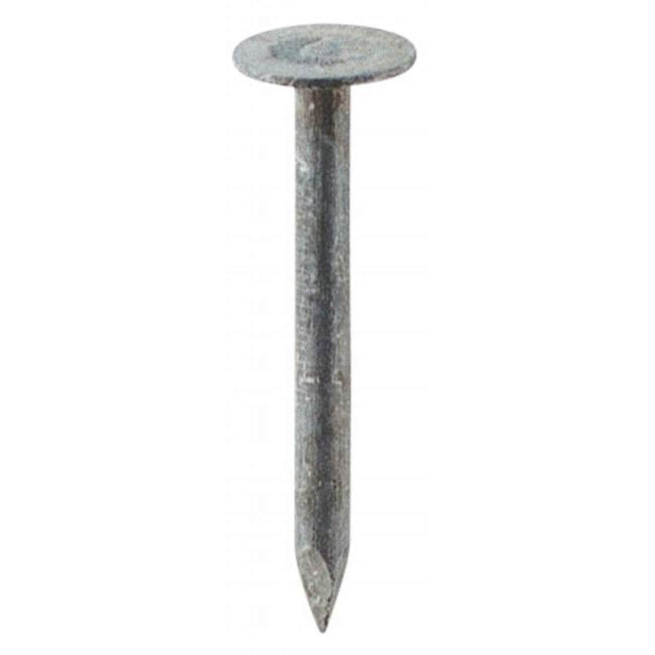 Grip-Rite 2 in. Roofing Electro-Galvanized Steel Nail Flat Head 50 lb