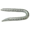 thumbnail image 1 of Grip-Rite 1-1/2 in. L Galvanized Steel Fence Staples 1 lb., 1 of 1