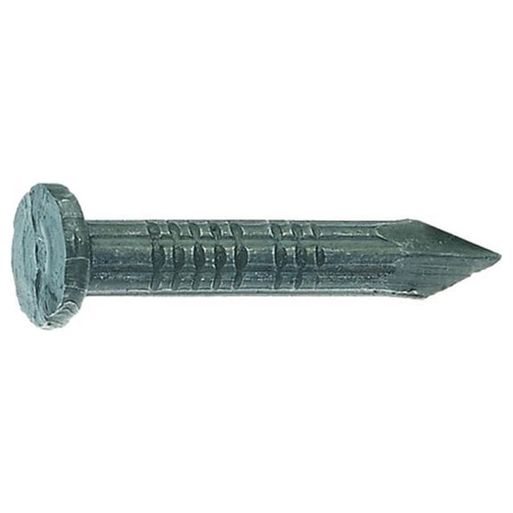 Grip-Rite 1 in. Masonry Bright Steel Nail T-Head Head 1 lb