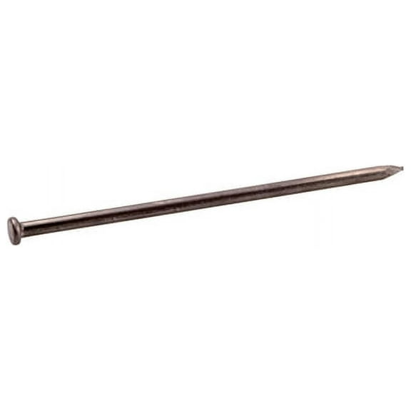 Grip-Rite 10 in. Spike Bright Steel Nail Flat Head 5 lb