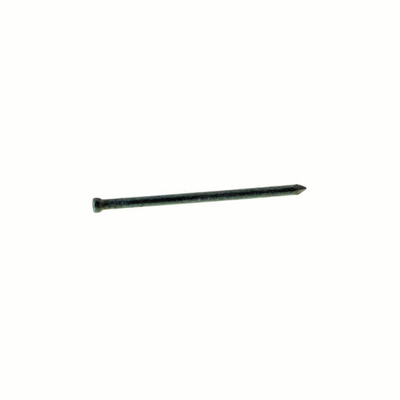 Grip-Rite 10D 3-1/4 in. Finishing Hot-Dipped Galvanized Steel Nail Countersunk 1 lb.