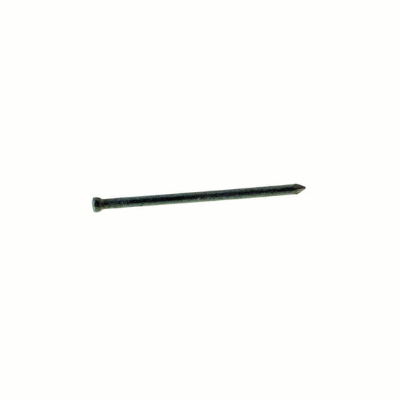 Grip-Rite 10D 3-1/4 in. Finishing Hot-Dipped Galvanized Steel Nail Countersunk 1 lb.