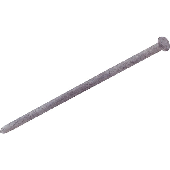 Grip-Rite 12D 12 in. Spike Hot-Dipped Galvanized Steel Nail Flat 50 lb.
