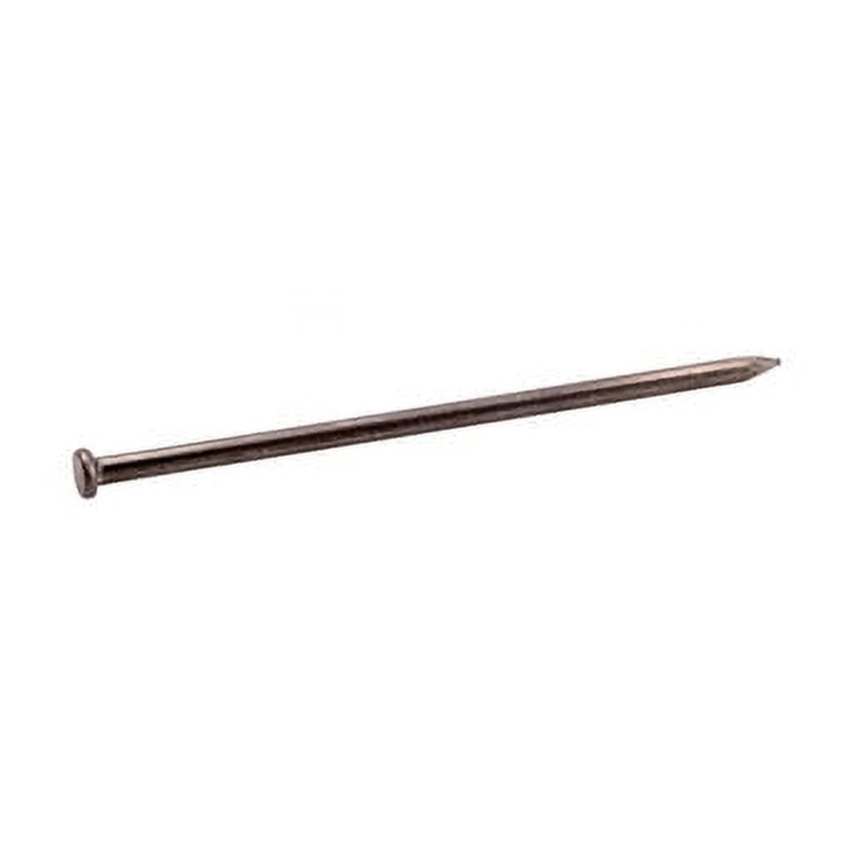 Grip-Rite 12D 12 in. Spike Bright Steel Nail Flat Head 5 lb Grip-Rite 12D 12 in. Spike Bright Steel Nail Flat Head 5 lb