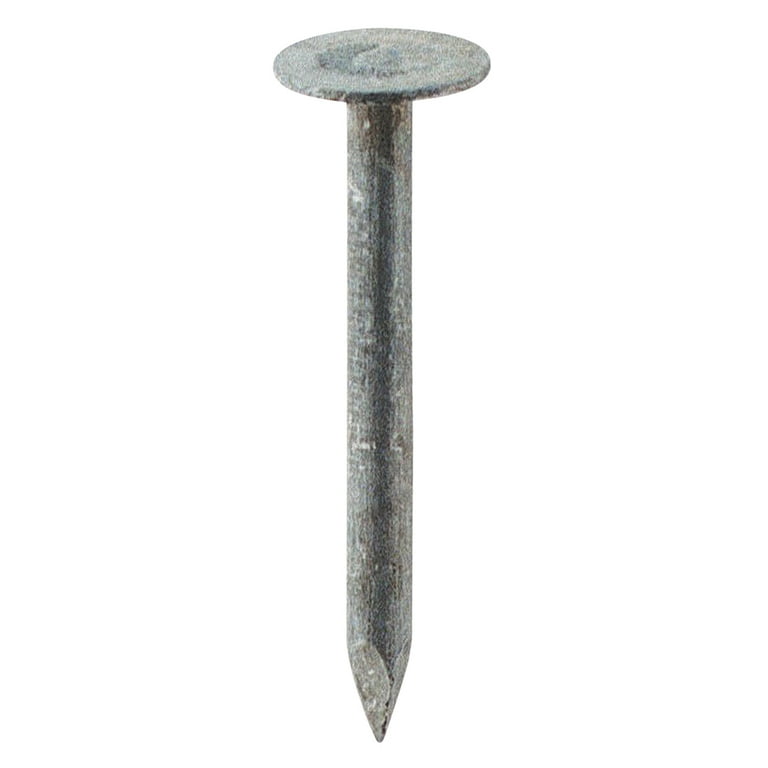 Grip-Rite 1 in. Roofing Hot-Dipped Galvanized Steel Nail Flat Head 50 lb Grip-Rite 1 in. Roofing Hot-Dipped Galvanized Steel Nail Flat Head 50 lb