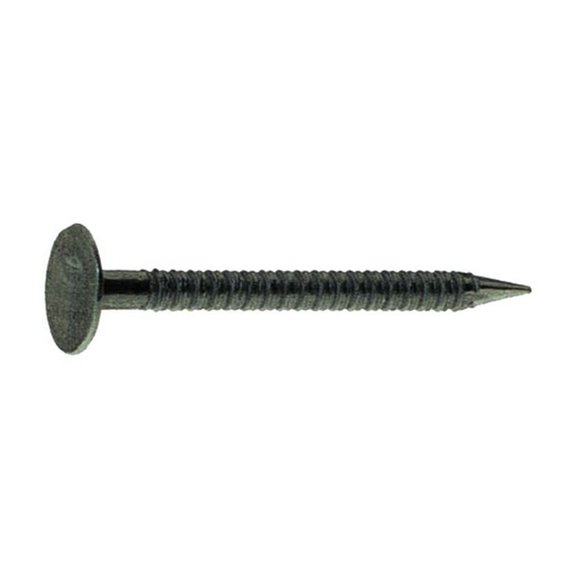 Grip-Rite 3-1/4 in. Drywall Bright Steel Nail Flat Head 5 lb