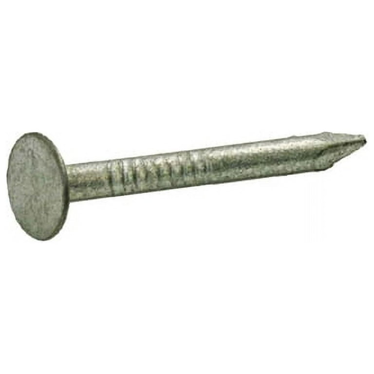 Grip-Rite 20D 4 in. Common Hot-Dipped Galvanized Steel Nail Flat Head 5 lb Grip-Rite 20D 4 in. Common Hot-Dipped Galvanized Steel Nail Flat Head 5 lb