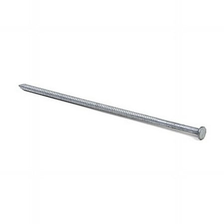 Grip-Rite 30D 4-1/2 in. Pole Barn Steel Spike Full Round 5 lb.