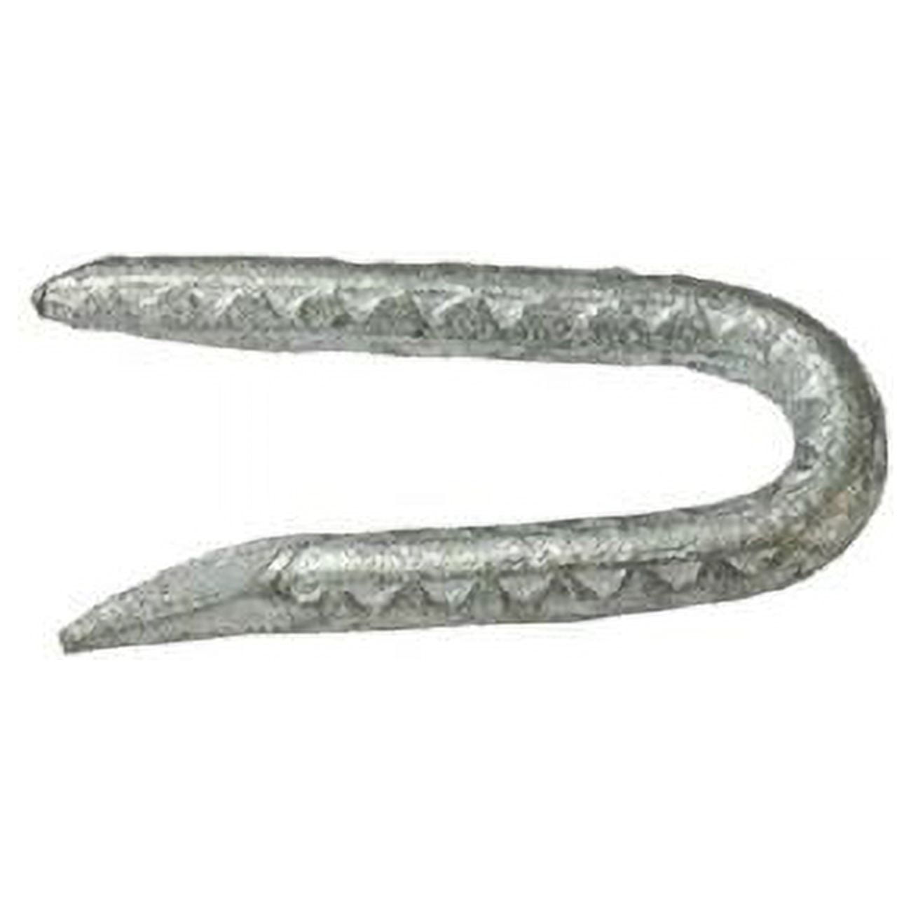 GripRite 5023470 1.75 in. 1 lbs Galvanized Fence Staples Pack of 12