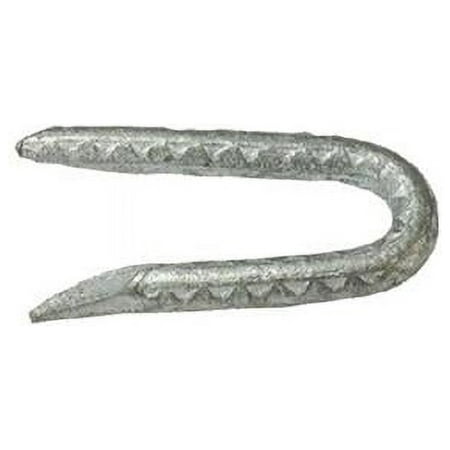 Grip-Rite 5023470 1.75 in. 1 lbs Galvanized Fence Staples - Pack of 12