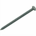 thumbnail image 1 of Grip-Rite 5023845 40D 5 in. 50 lbs Common Hot-Dipped Galvanized Steel Nail Oval, 1 of 2