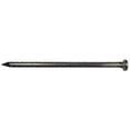 thumbnail image 1 of Grip Rite Common Nails, 1 of 2