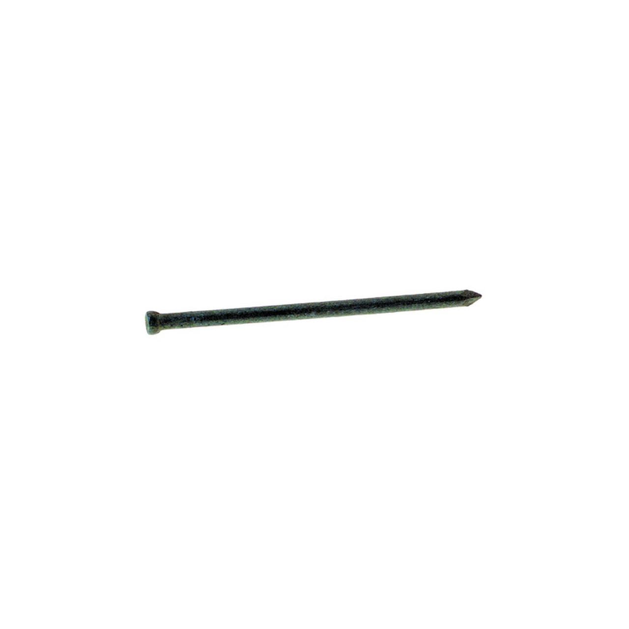 Grip-Rite 6D 2 in. Finishing Hot-Dipped Galvanized Steel Nail Brad Head 6 oz Grip-Rite 6D 2 in. Finishing Hot-Dipped Galvanized Steel Nail Brad Head 6 oz