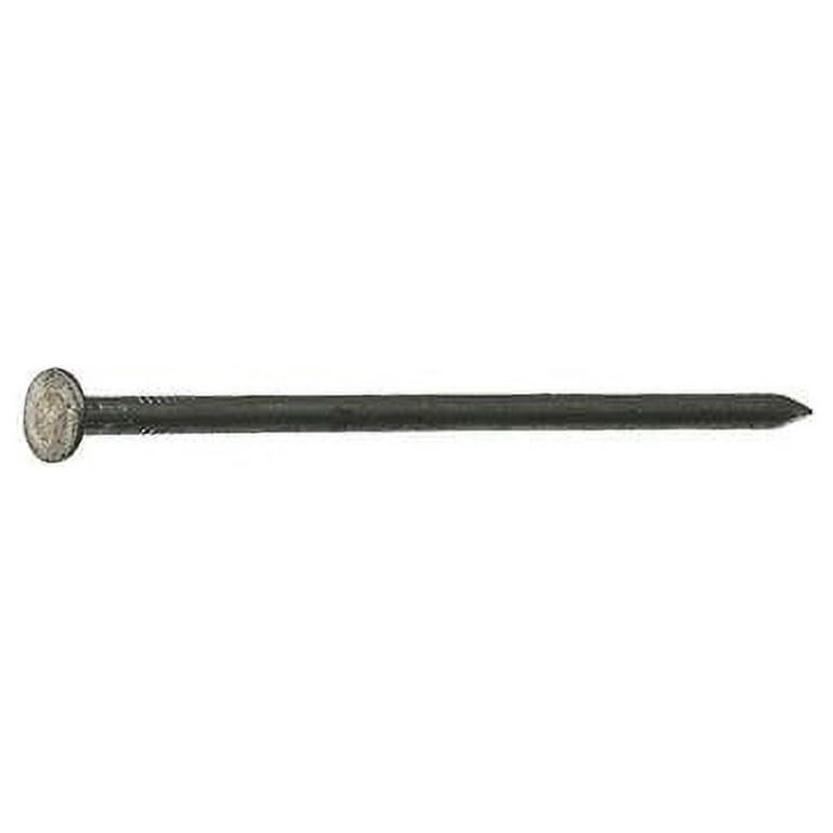 Grip-Rite 20D 4 in. Common Bright Steel Nail Flat Head 50 lb Grip-Rite 20D 4 in. Common Bright Steel Nail Flat Head 50 lb
