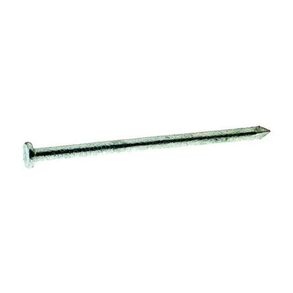 Grip-Rite 8D 2-1/2 in. Common Hot-Dipped Galvanized Steel Nail Flat Head 5 lb