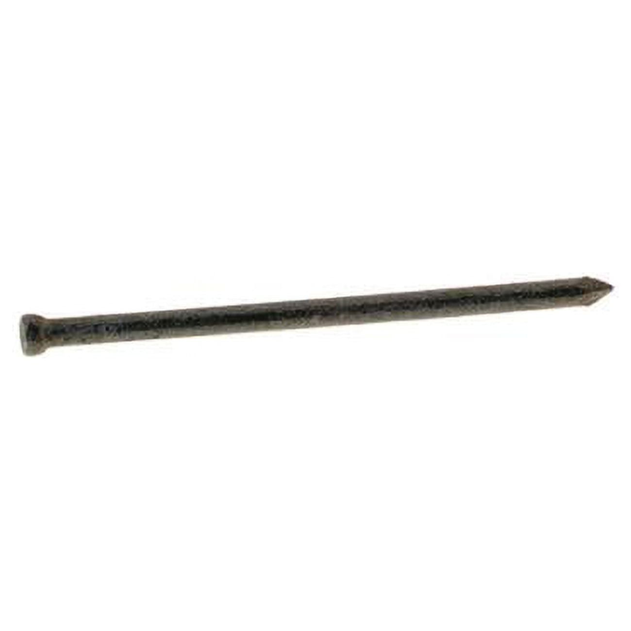 Grip-Rite 8D 2-1/2 in. Finishing Hot-Dipped Galvanized Steel Nail Brad Head 5 lb