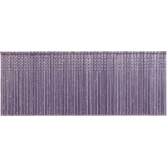 Grip-Rite PrimeGuard Max 16-Gauge 304-Stainless Steel Straight Finish Nail in Resealable Belt-Clip Box, 2-1/2 In. (1000 Ct.)