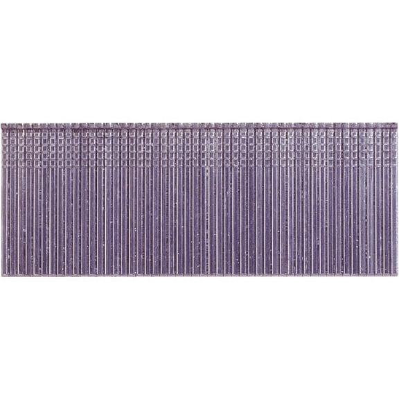 Grip-Rite PrimeGuard Max 16-Gauge 304-Stainless Steel Straight Finish Nail in Resealable Belt-Clip Box, 2 In. (1000 Ct.)