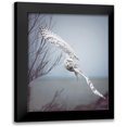 thumbnail image 1 of Grippo-Pike, Carrie Ann 15x17 Black Modern Framed Museum Art Print Titled - Snowy Owl In Flight, 1 of 5