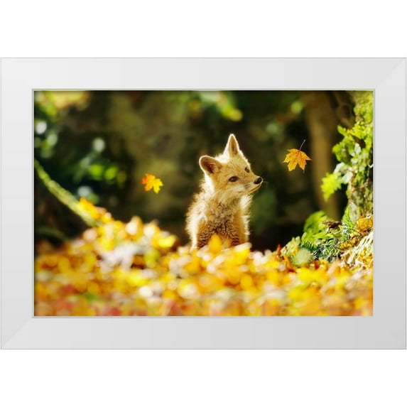 Grippo-Pike, Carrie Ann 24x17 White Modern Wood Framed Museum Art Print Titled - Falling Leaves Fox