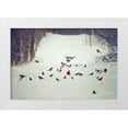thumbnail image 1 of Grippo-Pike, Carrie Ann 32x23 White Modern Wood Framed Museum Art Print Titled - Feathered Friends Birds in Snow, 1 of 4