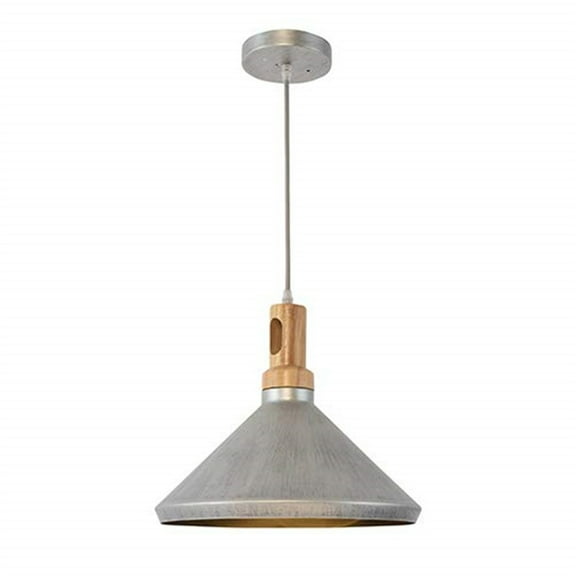 Gris Plateado Collection One Light Pendants