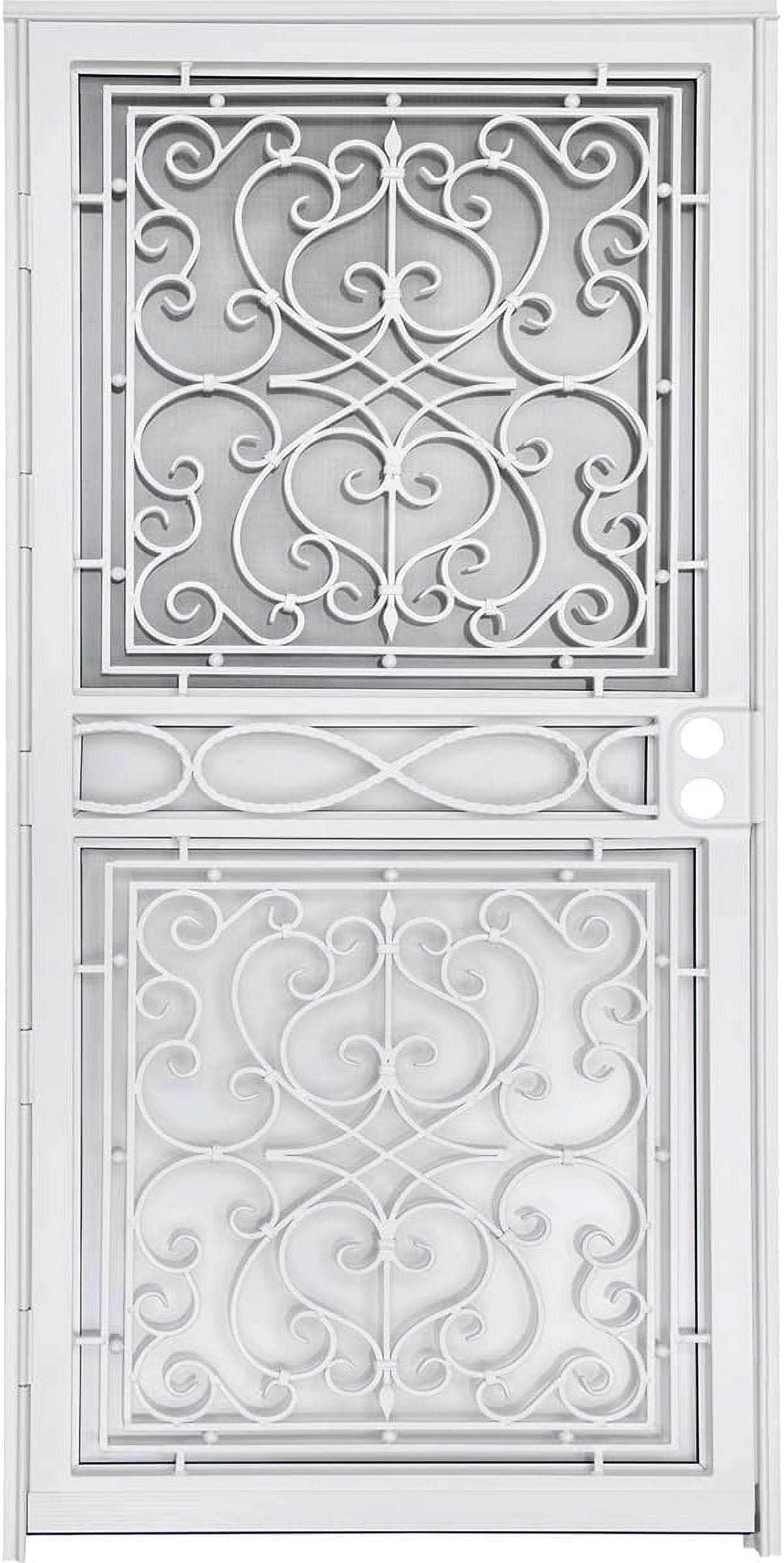 Wrought Iron Security Doors 