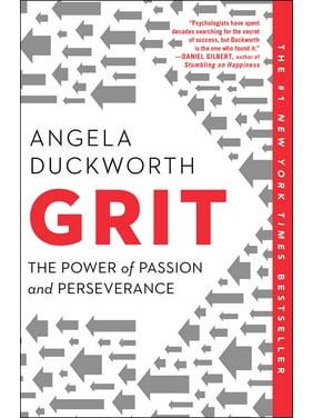 Grit : The Power of Passion and Perseverance (Paperback)