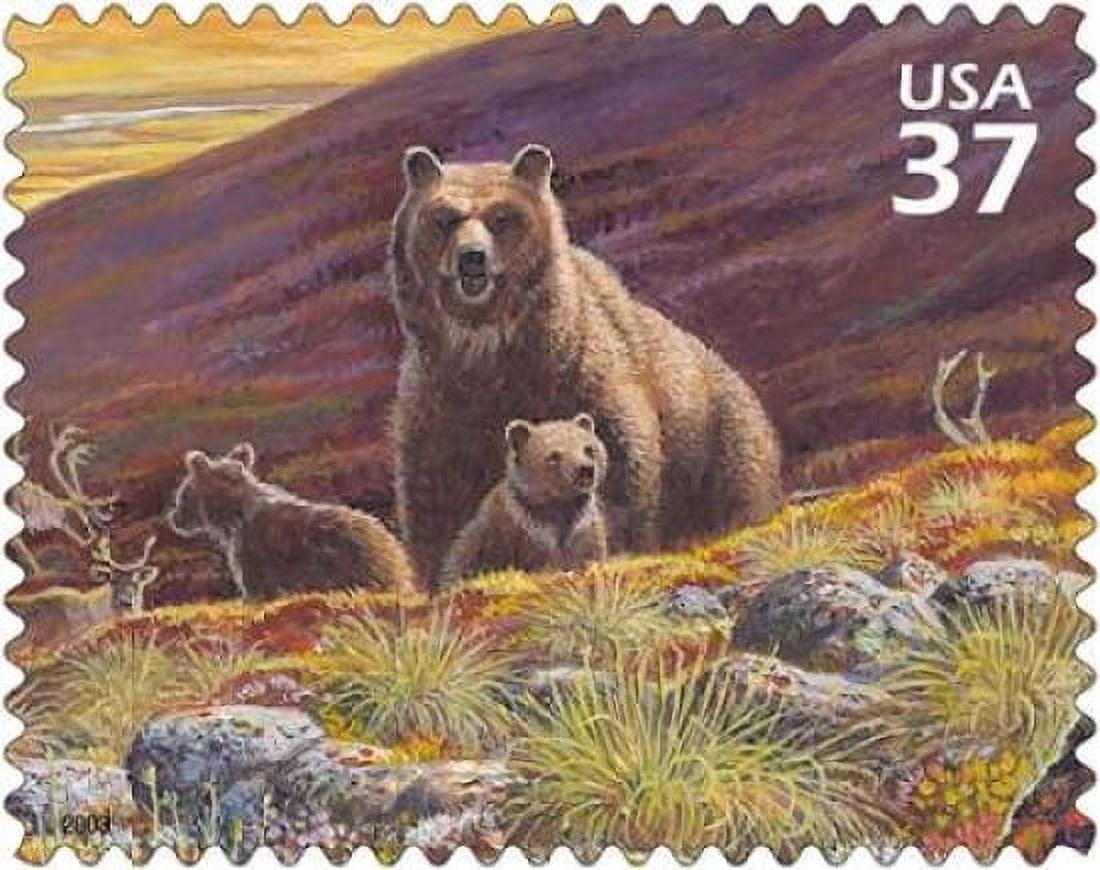 Grizzly Bear Canvas Art - US POSTAL SERVICE (24 x 30)