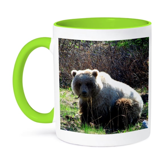 3dRose, Grizzly Bear Chewing on a Root in the Yukon Territory, 11oz Two-Tone Green Mug