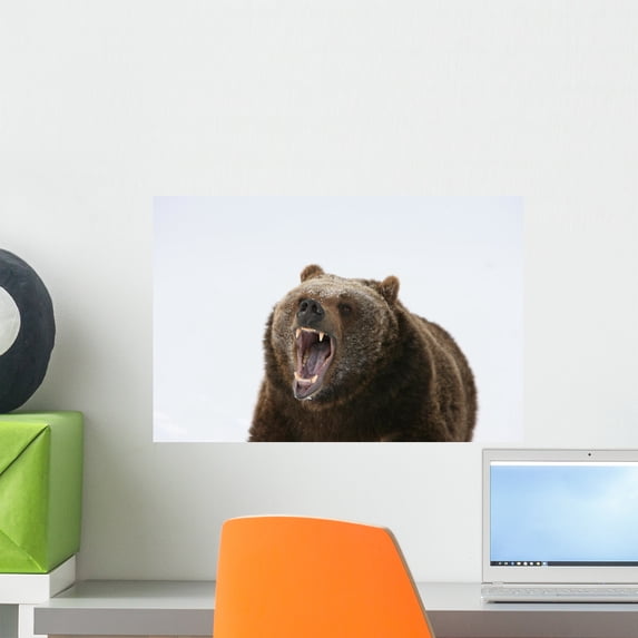 Grizzly Bear Growling Wall Mural by Wallmonkeys Peel and Stick Graphic (18 in W x 14 in H) WM69034
