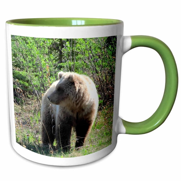 3drose, Grizzly Bear Scans the Area for Danger in Yukon Territory Canada, 11oz Two-tone Green Mug