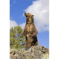 thumbnail image 1 of Grizzly Bear Standing On A Ridge Poster Print by John Pitcher, 22 x 34 - Large, 1 of 1