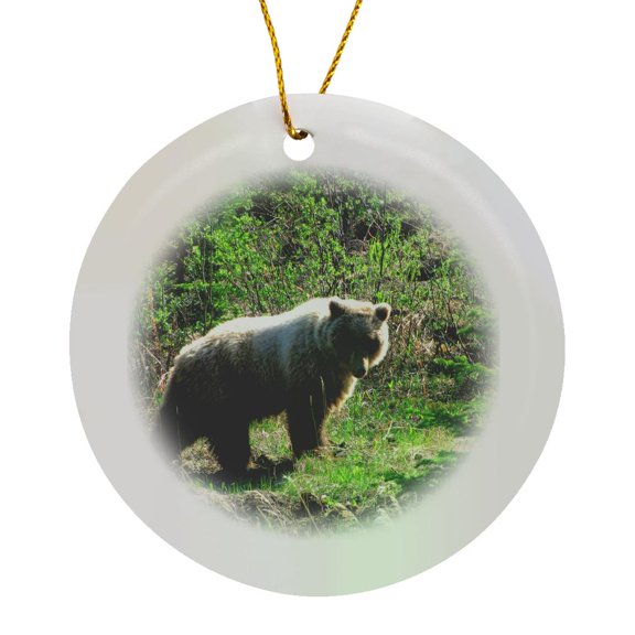 3drose, Grizzly Bear Stops for a Rest on the Side of the Atlin Road in Yukon Territory Canada, Circle Porcelain Ornament