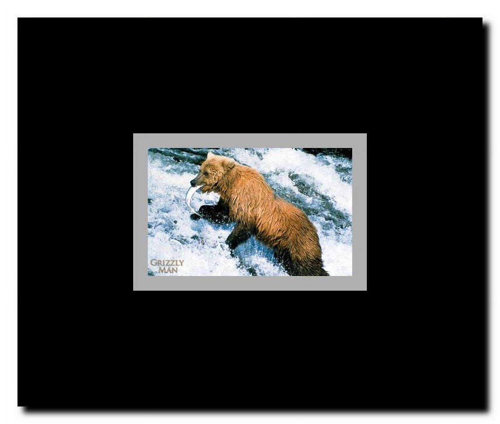 Grizzly Man Framed Movie Poster