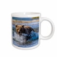 thumbnail image 1 of 3drose, Grizzly or Brown Bear. Moraine Creek, Katmai Np, Alaska, Usa., 11oz Mug, 1 of 6