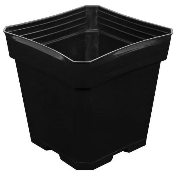 Gro Pro Black Plastic Pot 5.5 in x 5.5 in x 5.75 in (200/Cs)
