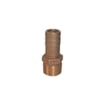 thumbnail image 1 of Groco PTH Bronze Standard Flow Pipe-to-Hose Adapter with NPT Thread, 1 of 2