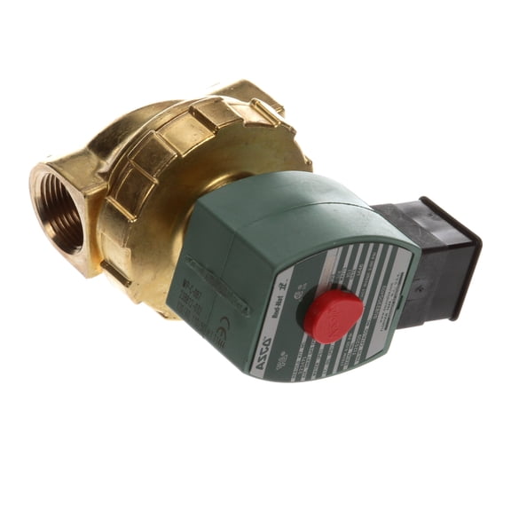 Groen 125107 Valve Solenoid, 3/4Npt, 2Way