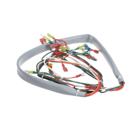 Groen Wiring Harness, Controls Ee-20, 40 148503 - Genuine OEM Replacement Part