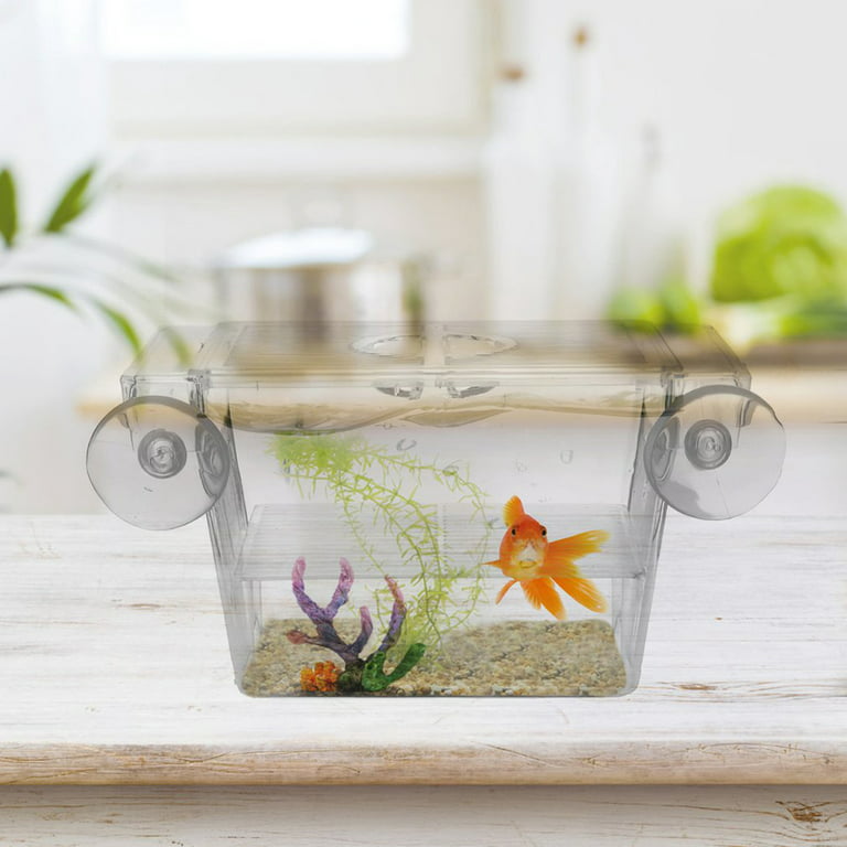 JISADER Fishing Photo Tank, Incubator Fish Viewing Box with Lid Inner Fish  Tank Isolation Box, L : : Pet Supplies