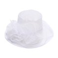 thumbnail image 1 of Grofry Women Derby Hat Organza Fascinators Layered Mesh Flower Decor Wide Brim Flat Top Tea Party Prom Wedding Gatsby Headpiece Hat, 1 of 8