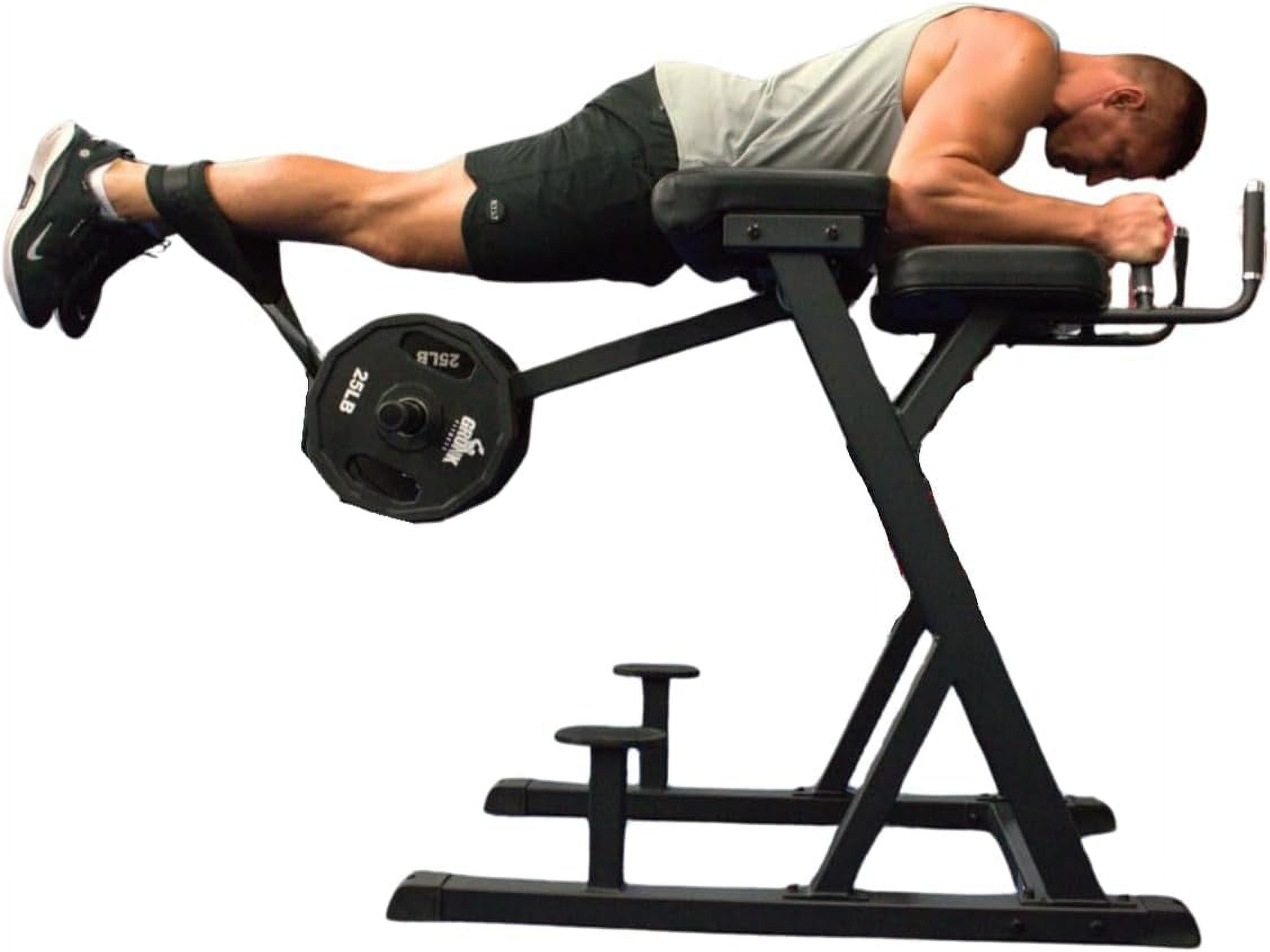 Gronk Fitness Reverse Hyperextension Machine Plate Loaded Machine