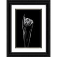 thumbnail image 1 of Gronkjar, Lotte 13x18 Black Ornate Wood Framed with Double Matting Museum Art Print Titled - Rembrandt Tulip, 1 of 4