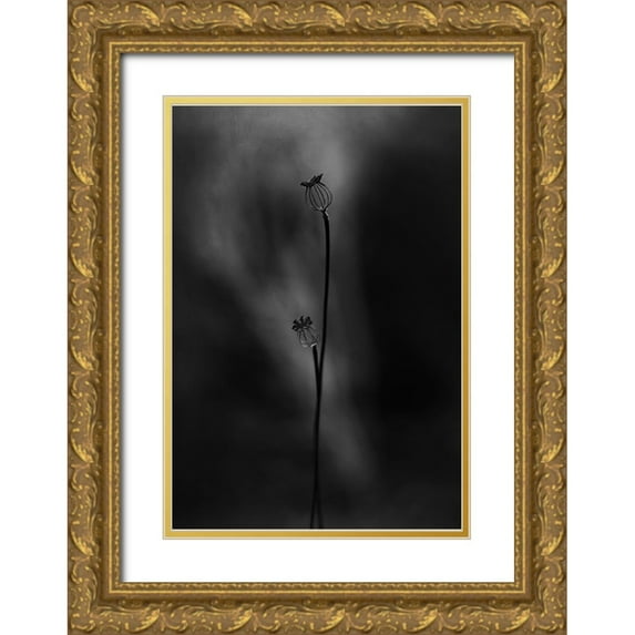 Gronkjar, Lotte 14x18 Gold Ornate Wood Framed with Double Matting Museum Art Print Titled - Old Poppies