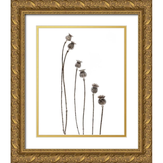 Gronkjar, Lotte 15x18 Gold Ornate Wood Framed with Double Matting Museum Art Print Titled - Last Years Flowering Poppies