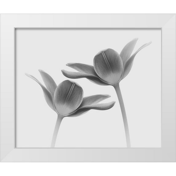 Gronkjar, Lotte 17x15 White Modern Wood Framed Museum Art Print Titled - Twice The Same