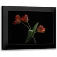 thumbnail image 1 of Gronkjar, Lotte 18x14 Black Modern Framed Museum Art Print Titled - Tulips In Vase, 1 of 5