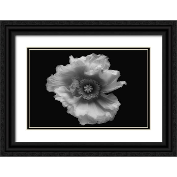 Gronkjar, Lotte 24x17 Black Ornate Wood Framed with Double Matting Museum Art Print Titled - Poppy In Mono